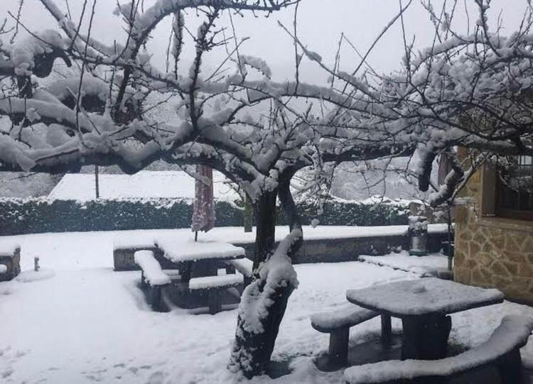 Hotel Restaurante La Carasca Orlé Dış mekan fotoğraf